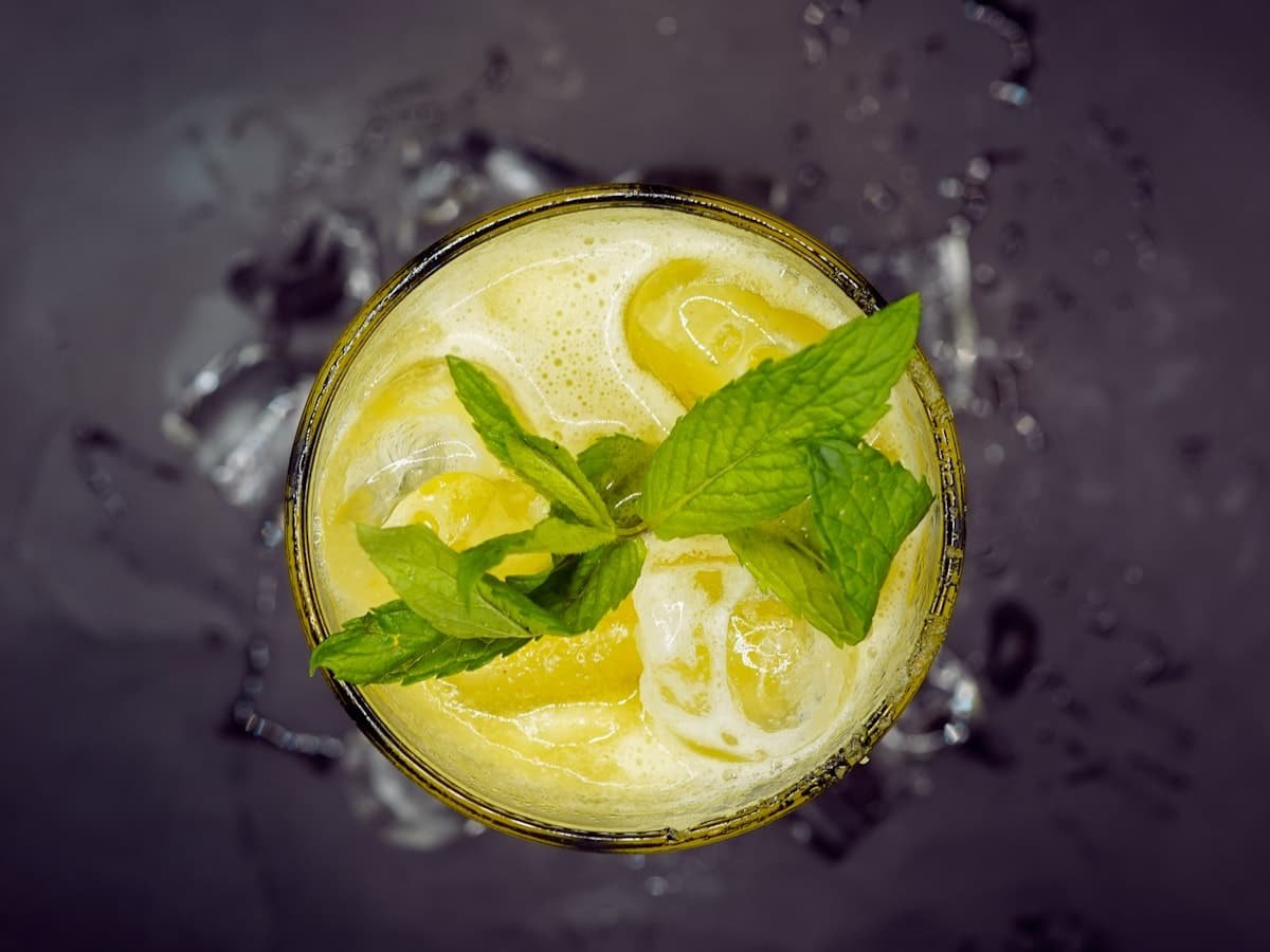 LIMONADA DE LA CASA